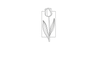 IVY - Home